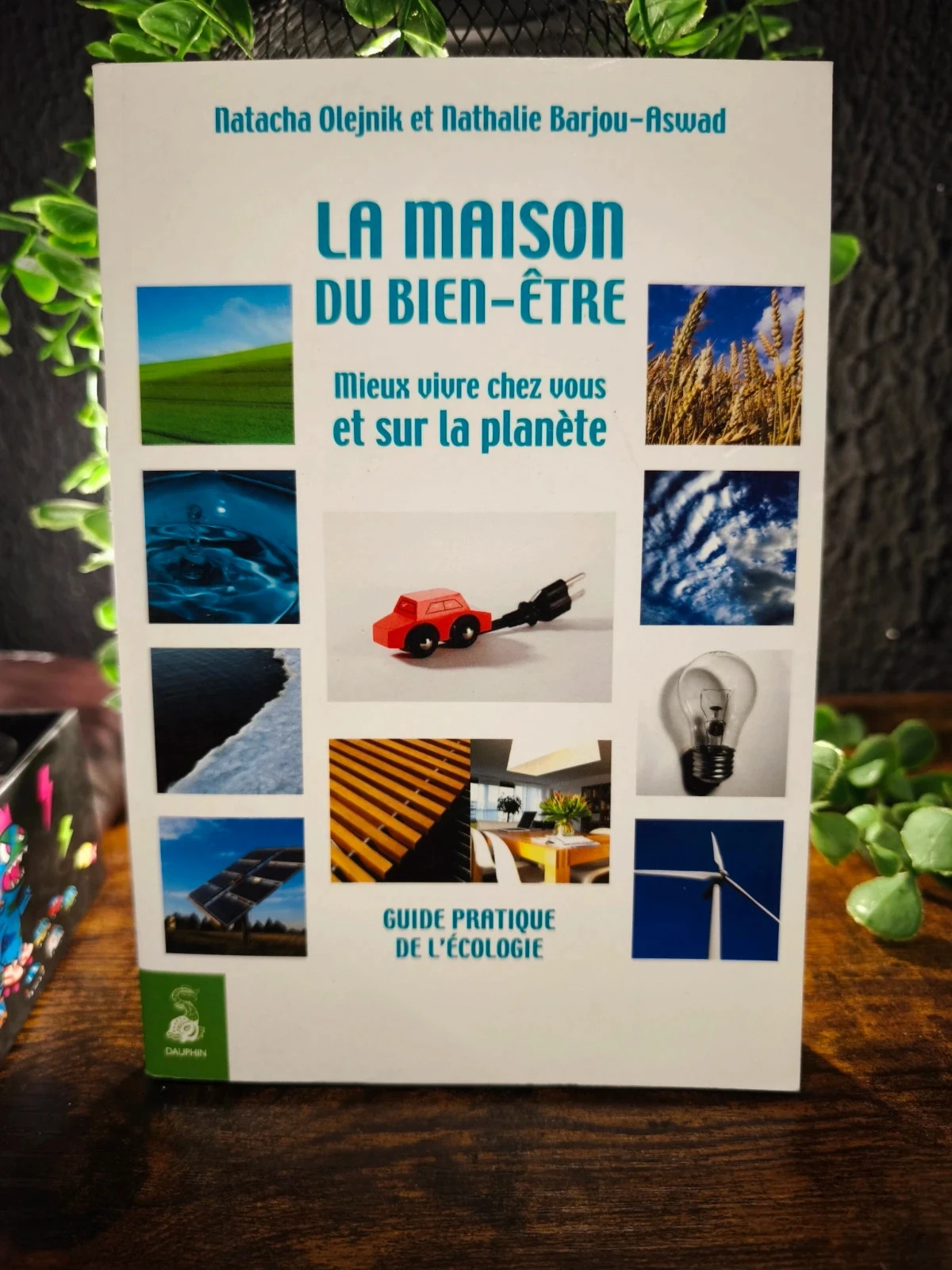 La maison du bien-être